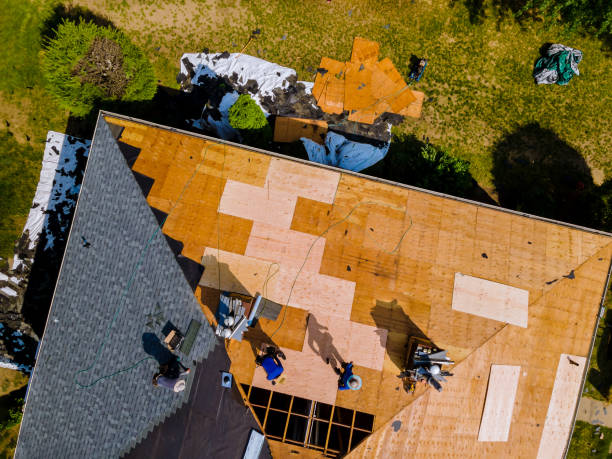 Best Metal Roofing Contractor  in Strasburg, VA