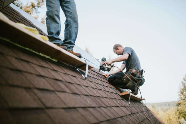 Quick and Trustworthy Emergency Roof Repair Services in Strasburg, VA